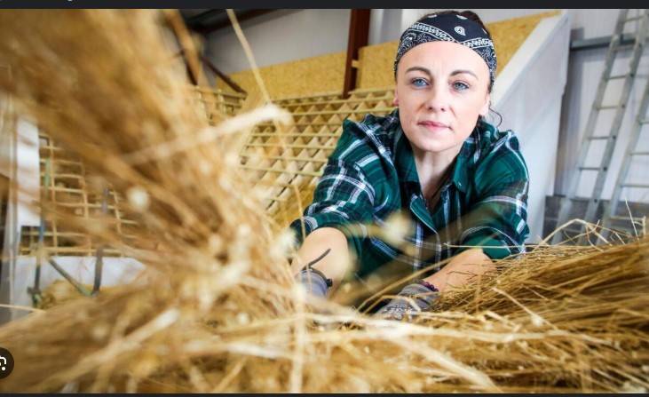 Irish school trains thatchers to save iconic roofs