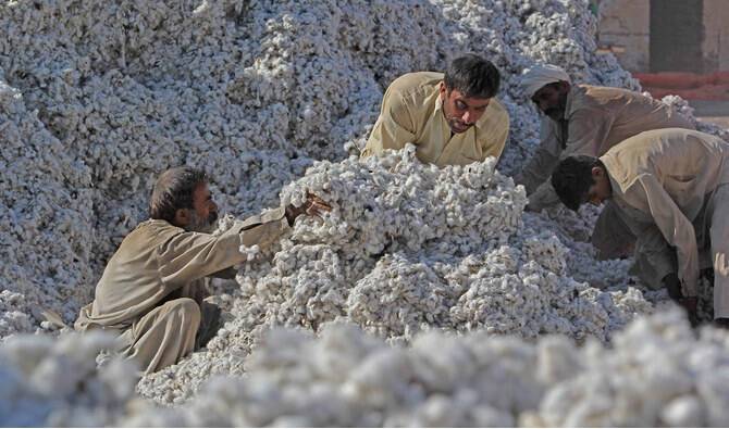 Islamabad, Beijing sign MoU to increase cotton production in Pakistan