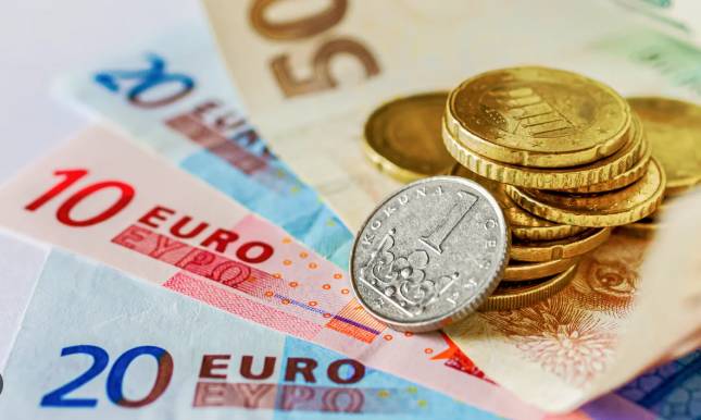 Czech government says not right time to join euro
