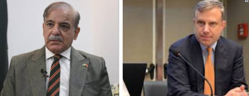 PM Shehbaz urges US firms to invest in Pakistan’s mineral sector