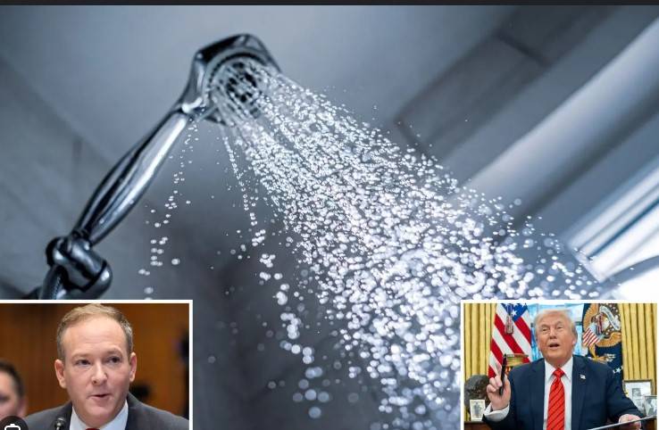 Trump signs order to 'make America's showers great again'