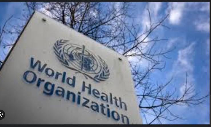 Accord reached 'in principle' over tackling future pandemics: WHO 