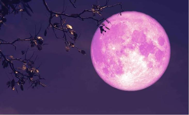 Stargazers from Pakistan get ready to watch Pink Moon tomorrow 