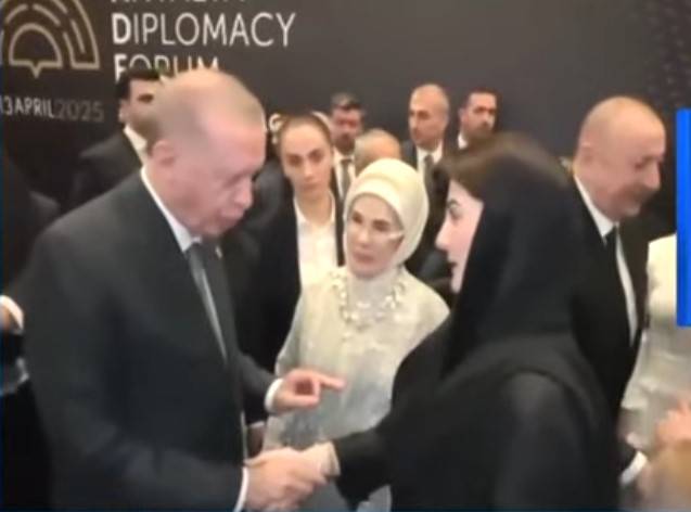 CM Maryam exchanges pleasantries with Turkish President Erdogan