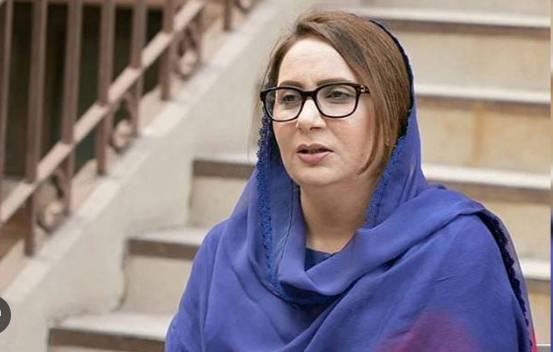 PPP and PML-N nexus responsible for country’s woes: Musarrat Cheema 