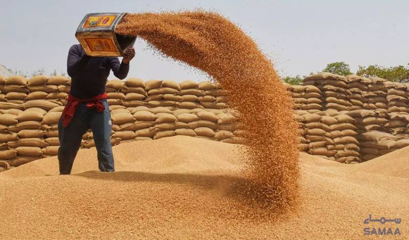 Govt bows to IMF: No wheat procurement this year, says food security minister