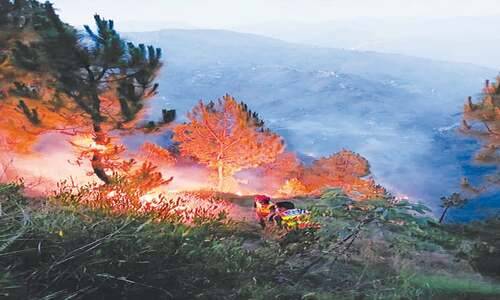 Raging wildfire engulfs Khanpur Hills in Haripur
