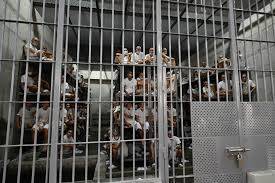 Trump says would 'love' to send US citizens to El Salvador jail
