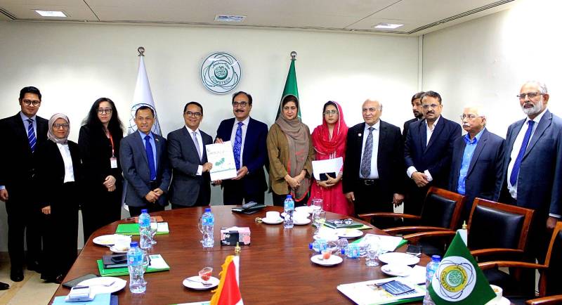 Indonesian Deputy Minister for Multilateral Cooperation visits COMSTECH Secretariat
