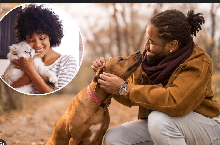 Heartbroken Brits abandon pets as living costs bite