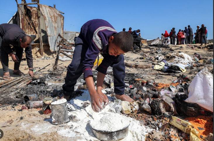 Gazans resort to turtle meat in hunt for food