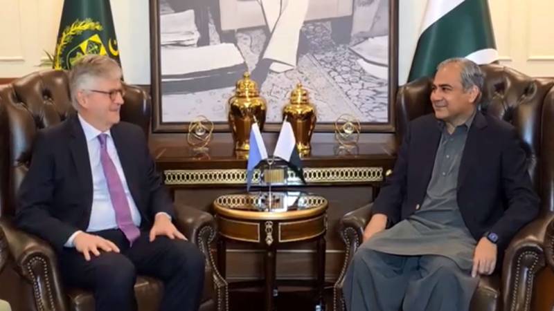 UN Under-Secretary-General for Peace calls on Interior Minister Naqvi 