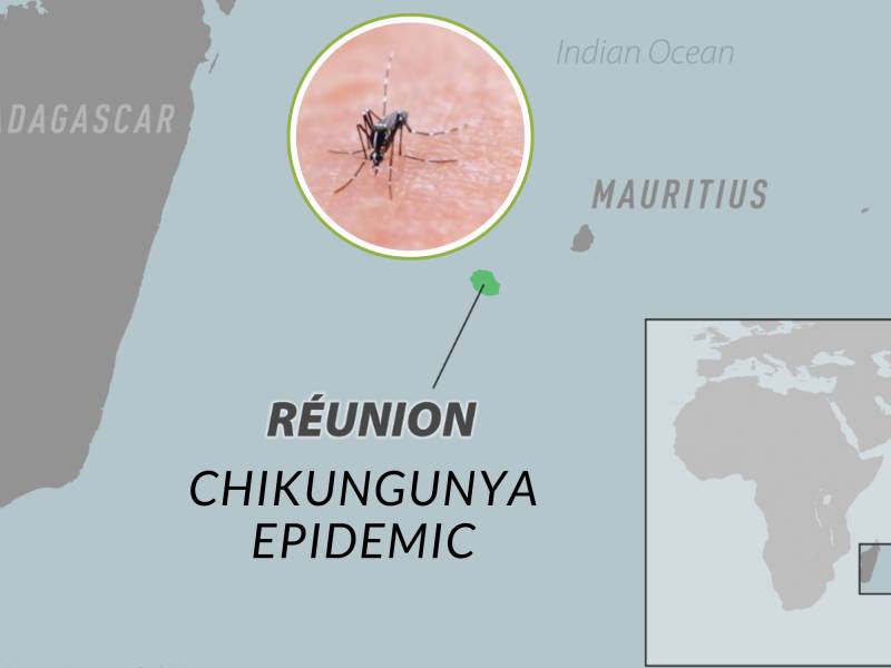 Reunion hospital boss urges reinforcements amid chikungunya outbreak