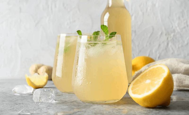 How Lemon Balm Can Help You Shed Pounds Fast