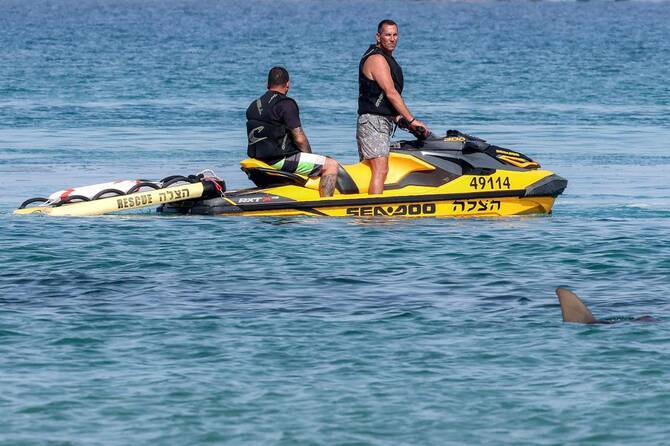 Man missing after reported shark attack off Israel's coast