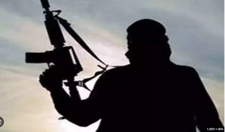 SHO among seven cops wounded in firing by dacoits in Kashmore