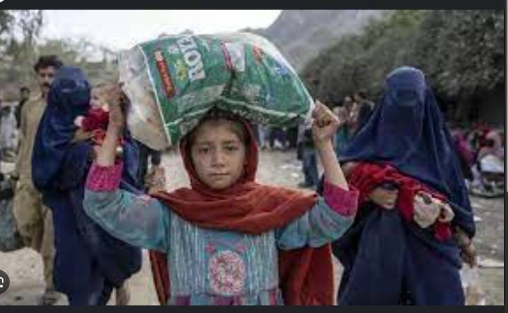 Fleeing Pakistan, Afghans rebuild from nothing