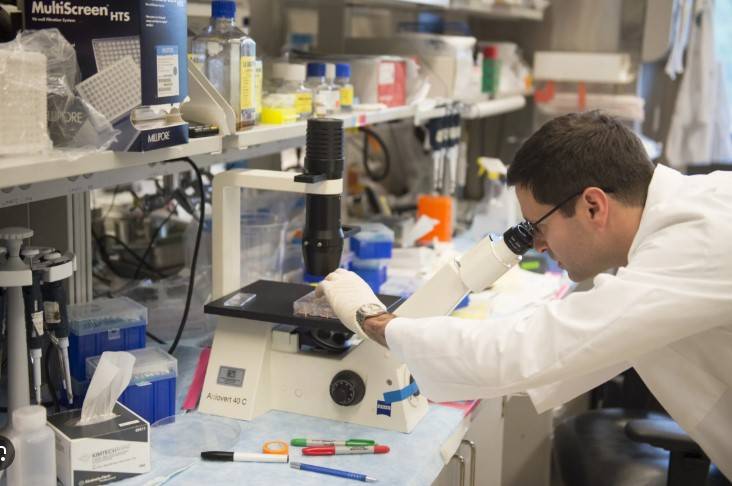 Scientists sound alarm as Trump reshapes US research landscape