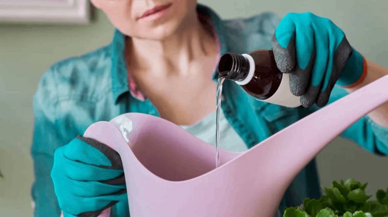 Does Hydrogen Peroxide Expire?