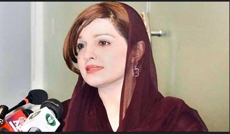 Mushaal Mullick seeks removal of ban on VPN and X