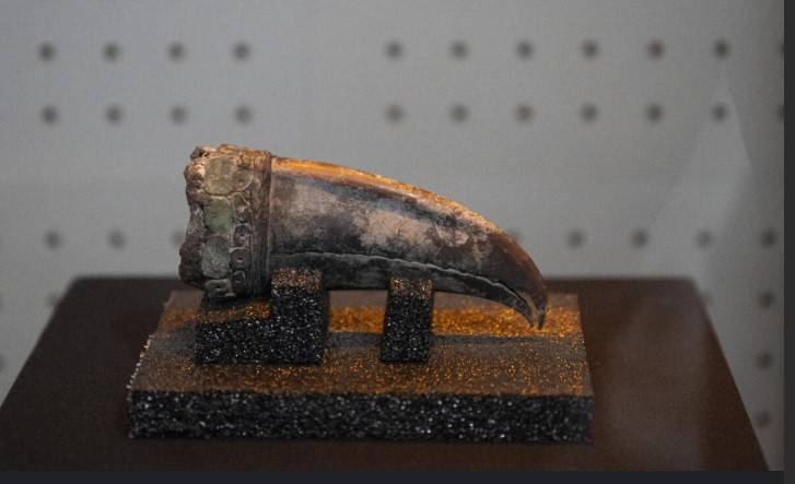 Remains of 5,000-year-old noblewoman found in Peru dig