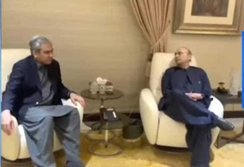 Mohsin Naqvi briefs President Zardari about NSC decisions