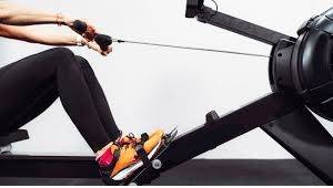 Best gym equipment to reduce belly fat