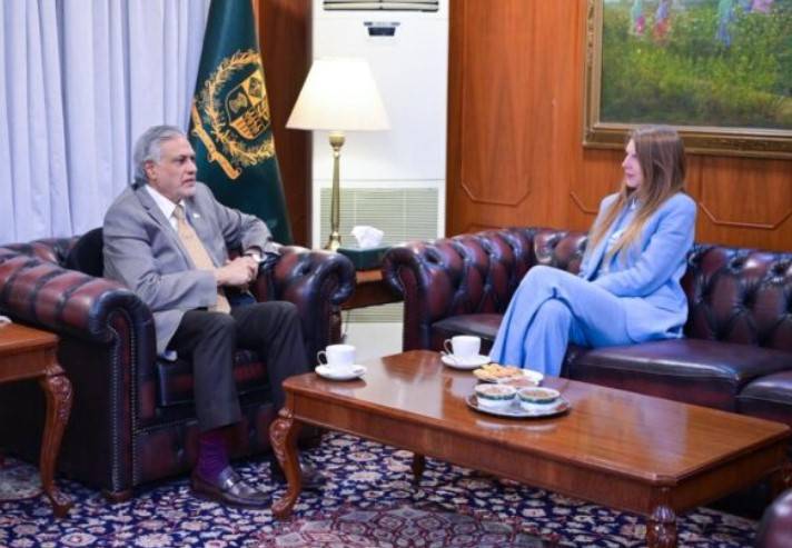 Ishaq Dar, UK envoy take up regional situation