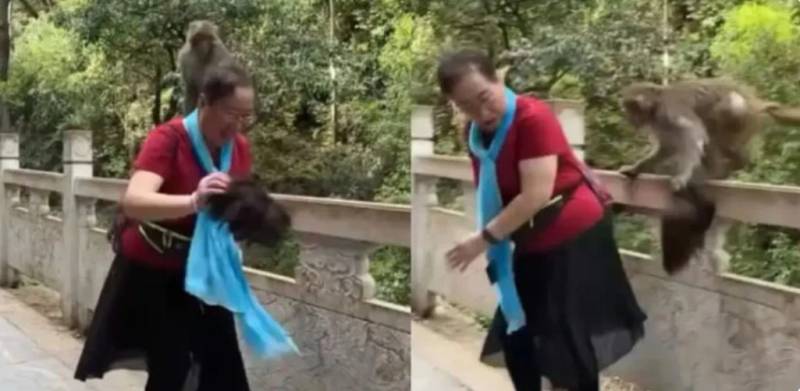 Monkey rips off Chinease woman's WIG in front of crowd