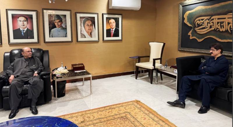 Sindh CM calls on President Zardari 