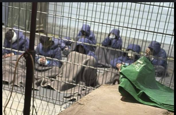 UN says over 50 Gaza aid workers faced abuse in Israeli detention