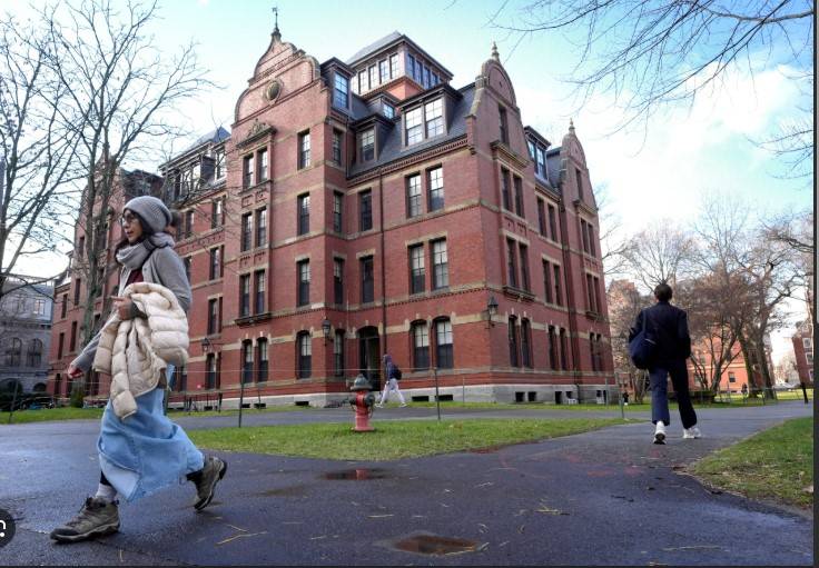 Trump admin probes Harvard Law Review for race discrimination