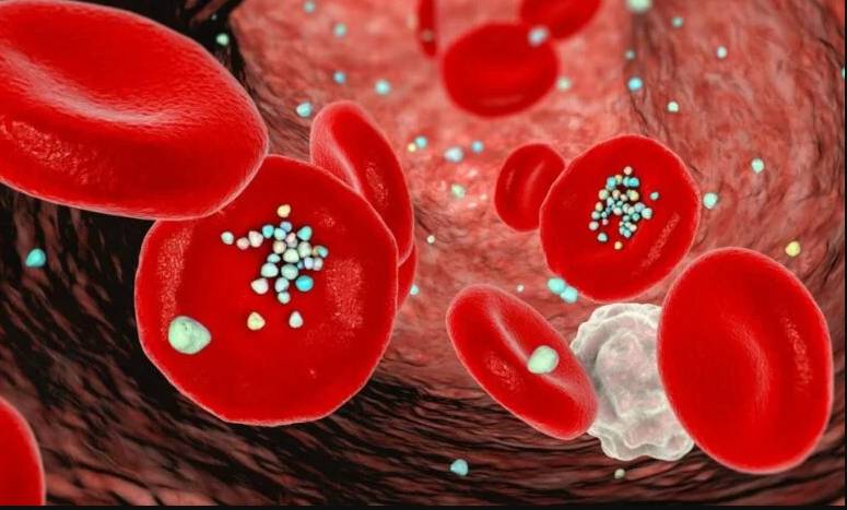 Study links chemicals in plastic to cardiovascular deaths