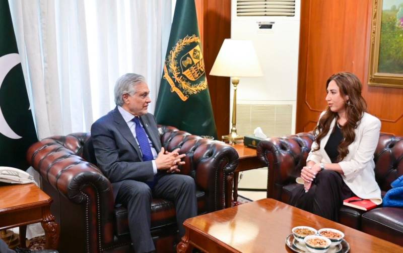 US envoy urges de-escalation in region during meeting with Pakistan's Deputy PM Ishaq Dar