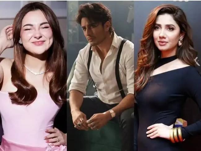 India bans Instagram accounts of Pakistani actors
