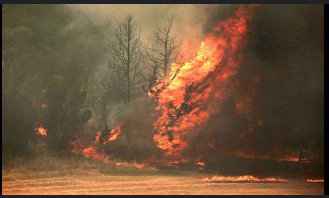 Israel's Netanyahu warns wildfires could reach Jerusalem