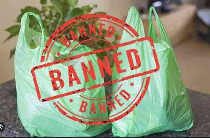 Sindh govt bans plastic bags from June 15