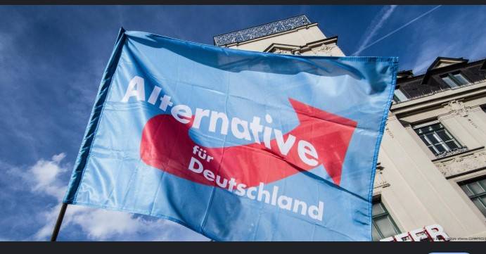 AfD sues German intelligence agency over 'extremist' label