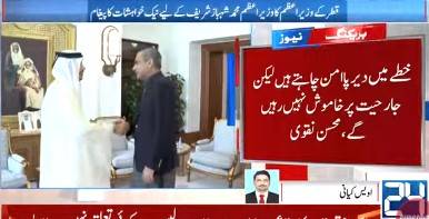Mohsin Naqvi meets Qatari PM, takes up bilateral cooperation