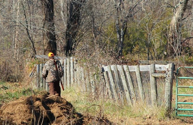 Hunter spared jail after killing endangered bear in French Pyrenees