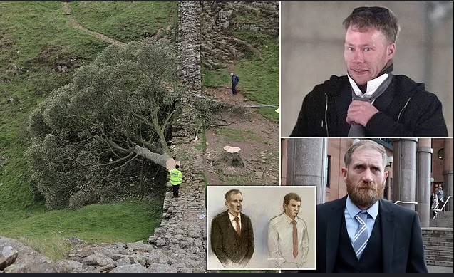 Two men found guilty of chopping down iconic UK tree