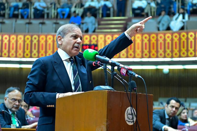 'Blood of innocent lives' avenged, says PM Shehbaz
