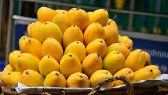 Pakistan to commence mango export from May 25