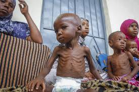 Half a million Somali children risk dying from hunger: NGO