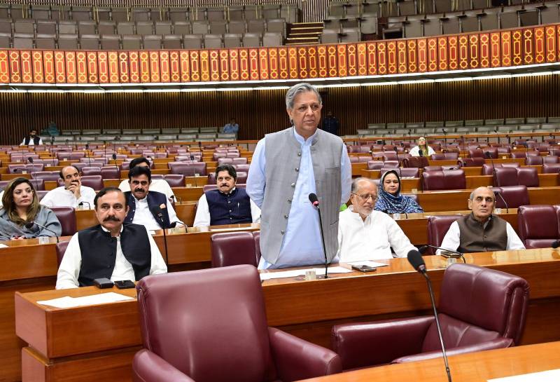 NA resolution condemns Indian aggression, expresses joy over historic win