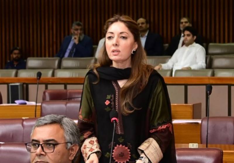 Sharmila Faruqui voices concerns about risks of adopting digital currencies