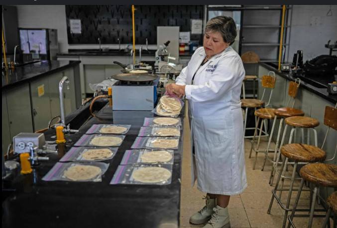 Scientists in Mexico develop tortilla for people with no fridge