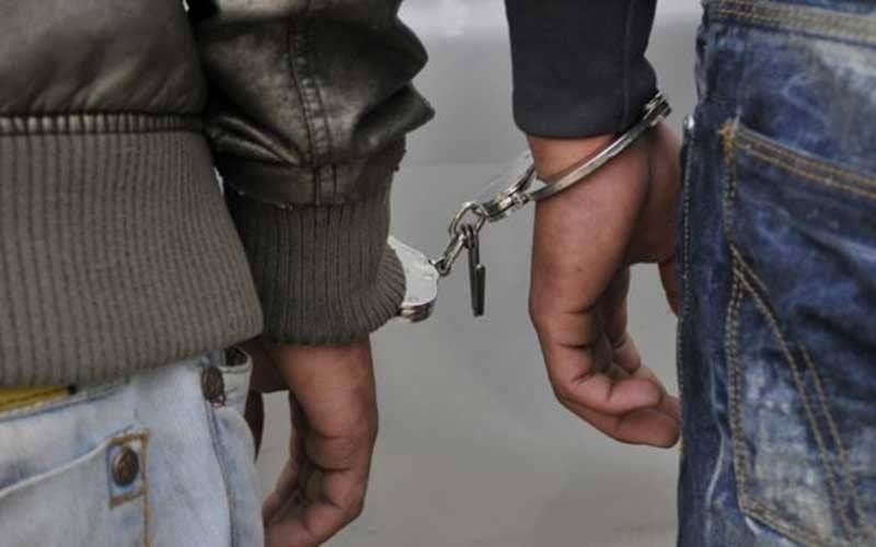 Two arrested under PECA Act for online abuse against state institutions