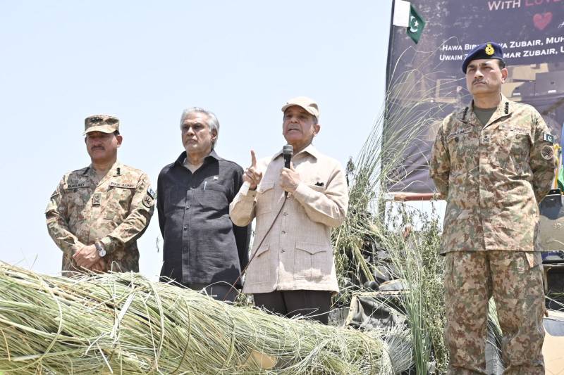 PM Shehbaz says Pakistan has avenged 1971 war from India