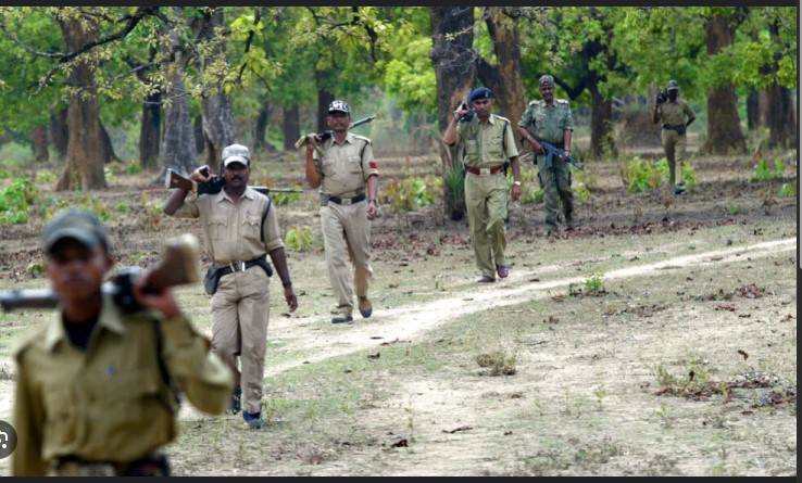 Indian troops kill 31 Maoist rebels in weeks-long battle